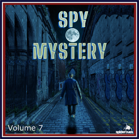 Spy Mystery v7 표지