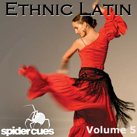 Ethnic Latin v5 표지