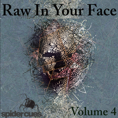 Raw In Your Face v4 표지