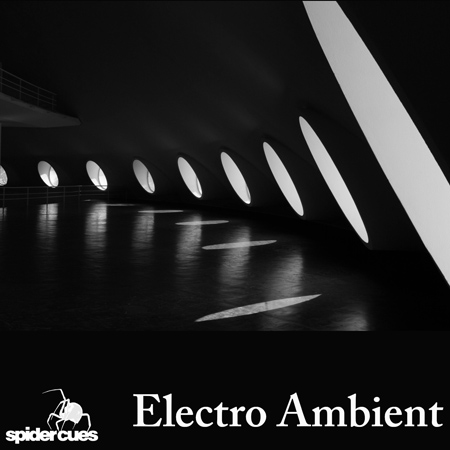 Electro Ambient 표지