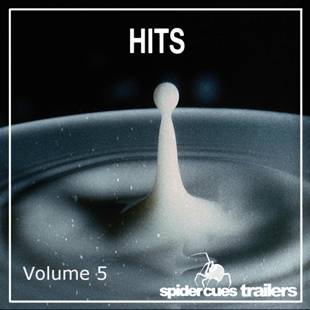 Hits v5 표지