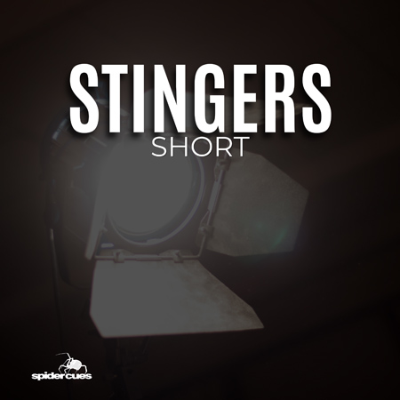 Stingers Short 표지