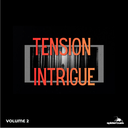 Tension Intrigue v12 표지