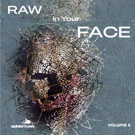 Raw In Your Face v5 표지