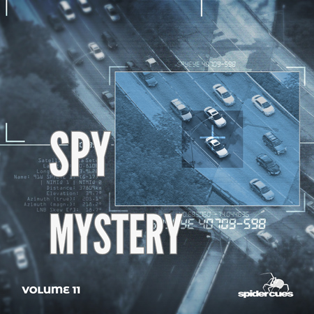 Spy Mystery v11 표지