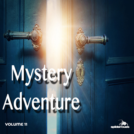 Mystery Adventure v11 표지