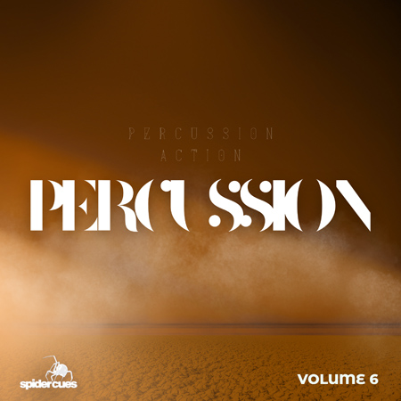Percussion Action v6 표지