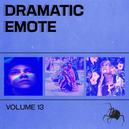 Dramatic Emote 13 표지