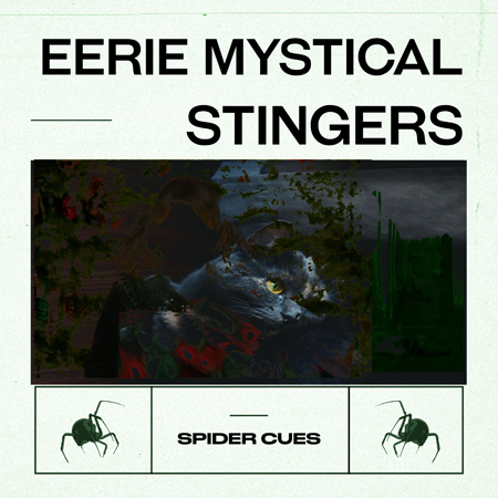 Eerie Mystical Stingers 표지