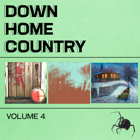 Down Home Country V4 표지