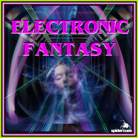Electronic Fantasy V2 표지