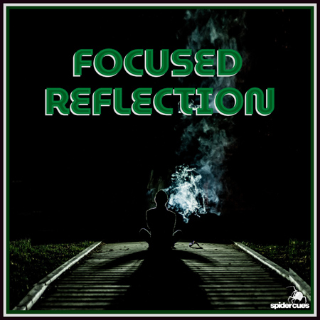 Focused Reflection 표지