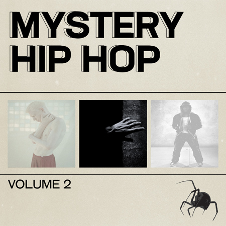 Mystery Hip Hop V2 표지