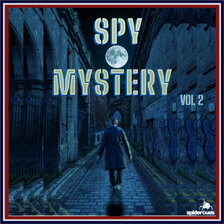 Spy Mystery V2 표지