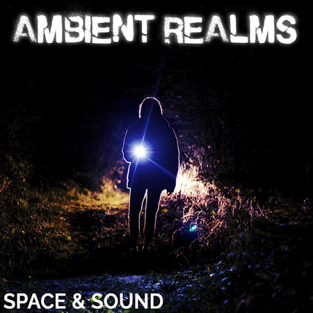 SSM0037 Ambient Realms 표지