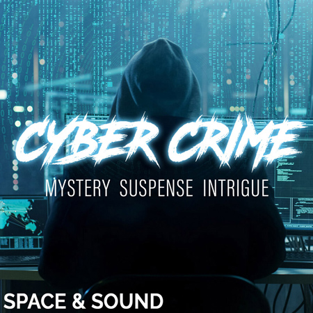 SSM0042 Cyber Crime 표지