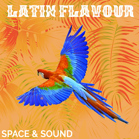 SSM066 Latin Flavour 표지