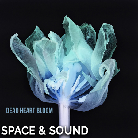 SSM0109 Dead Heart Bloom 표지