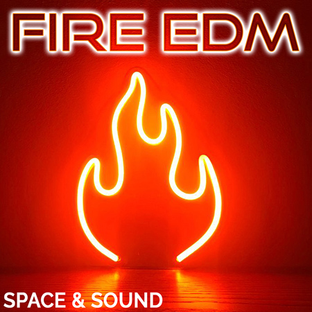 SSM0136 Fire EDM 표지