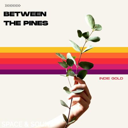 Between the Pines 표지