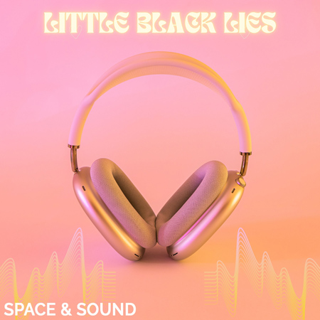 Little Black Lies 표지