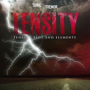 tensity: tension beds and elements 표지