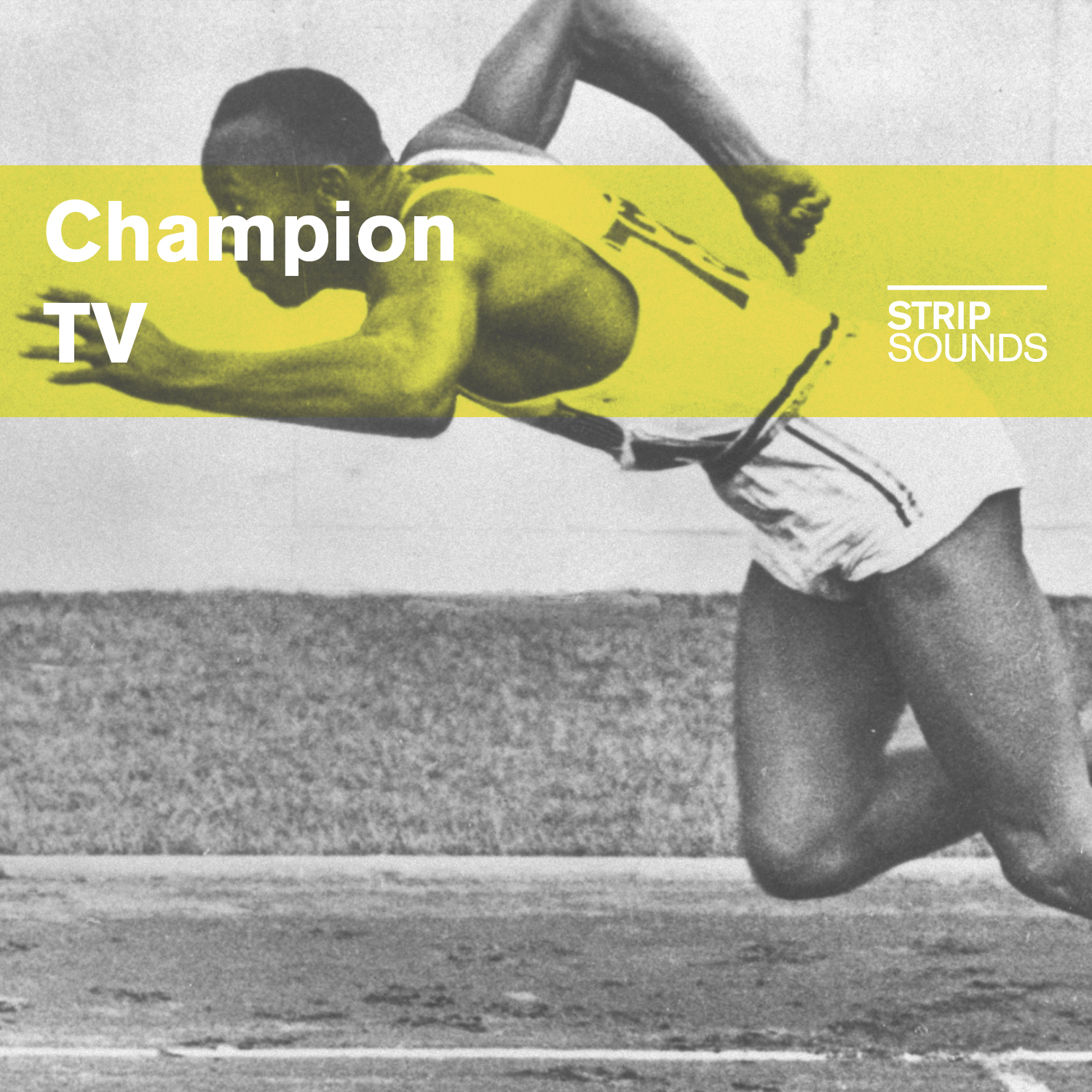 champion tv 표지