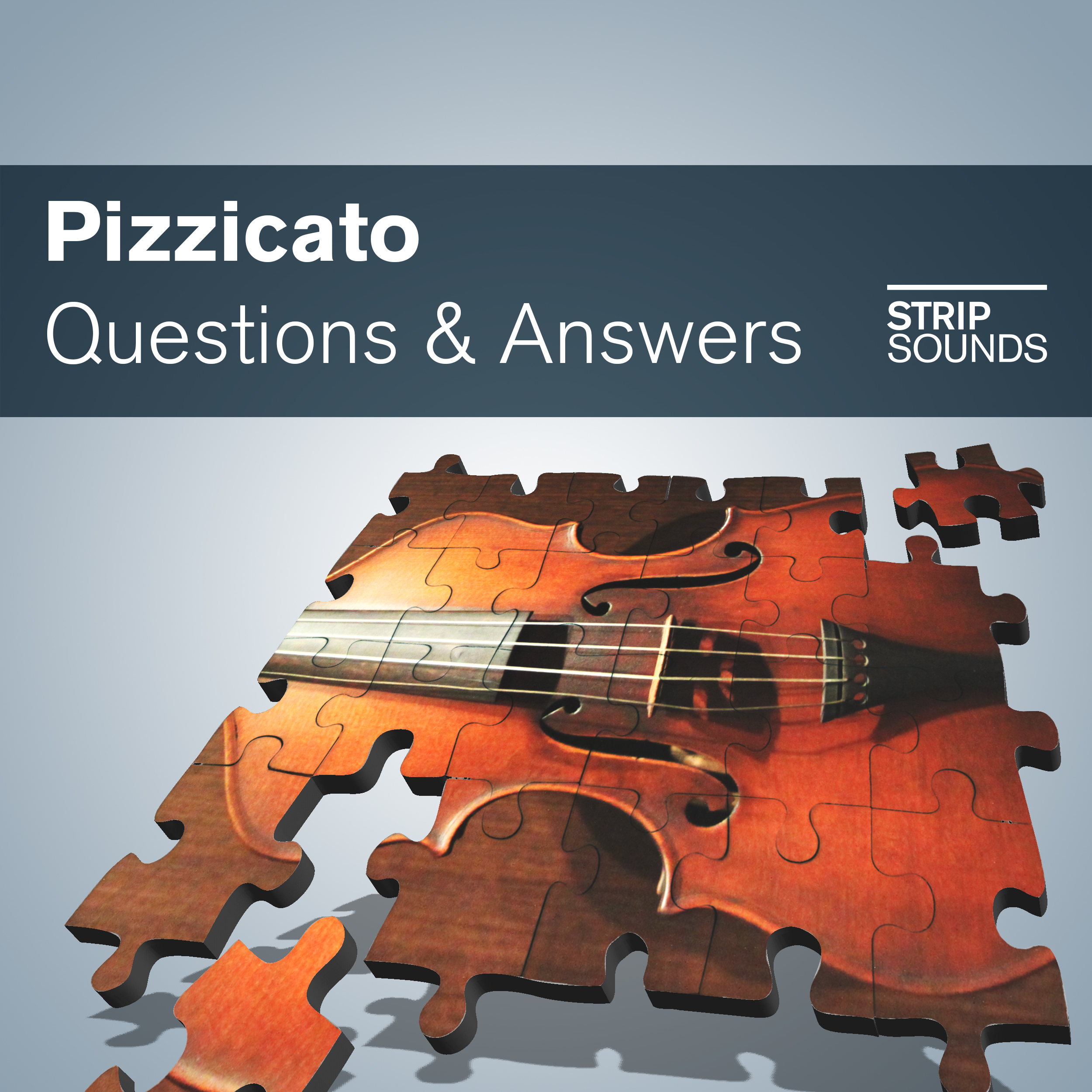 pizzicato questions & answers 표지
