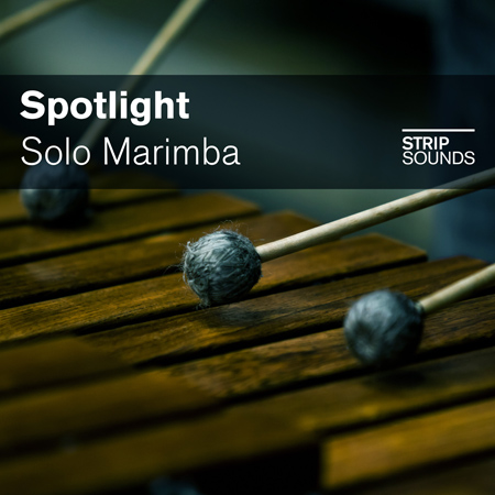 Spotlight: Solo Marimba 표지