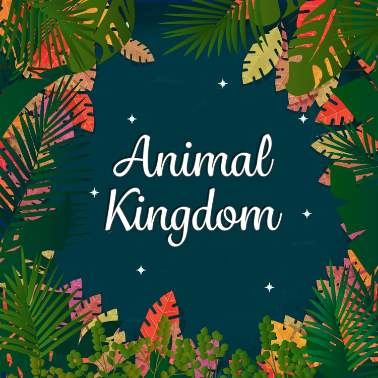 animal kingdom 표지