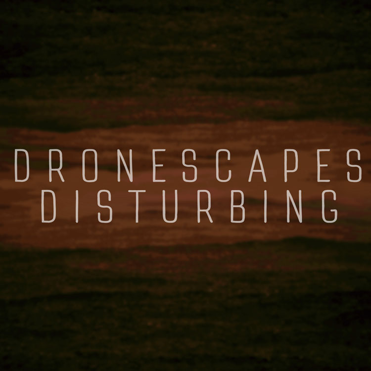 dronescapes - disturbing 표지