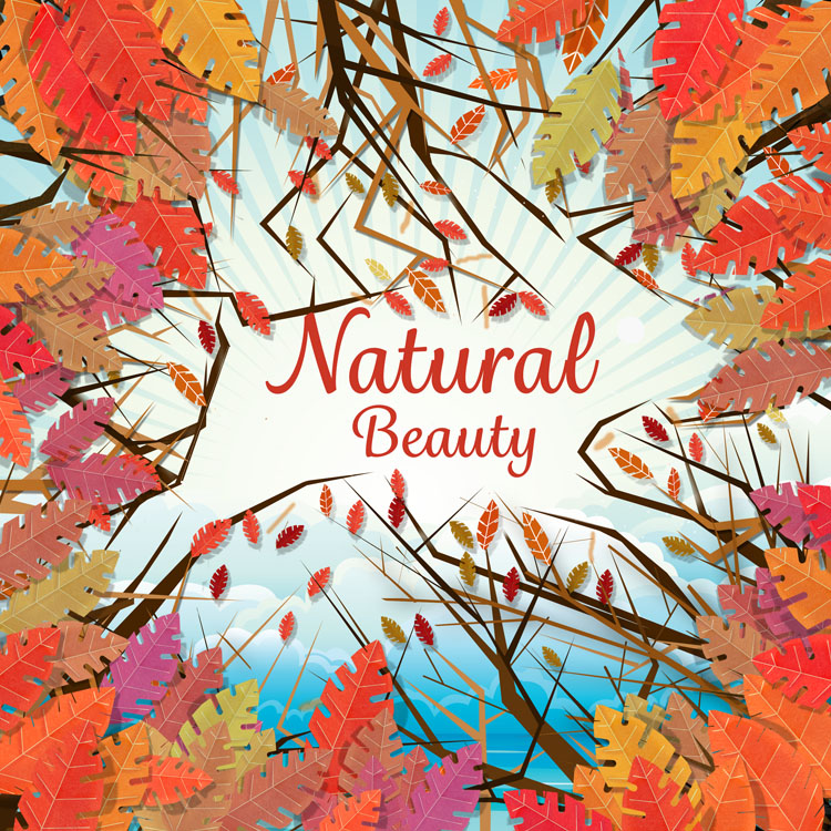 natural beauty 표지