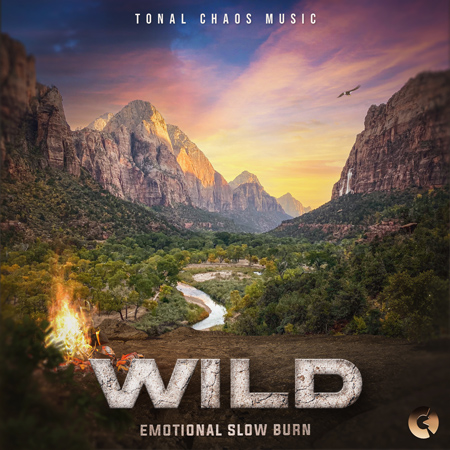 WILD (Emotional Slow Burn) 표지