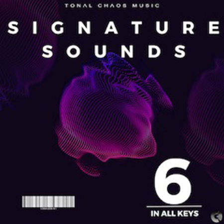 Signature Sounds - In All Keys (vol. 6) 표지