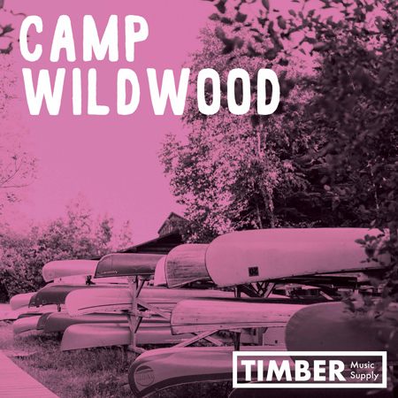 Camp Wildwood 표지