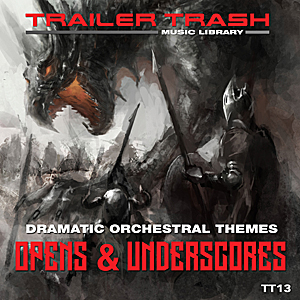 tt013 - themes, opens & underscores 표지