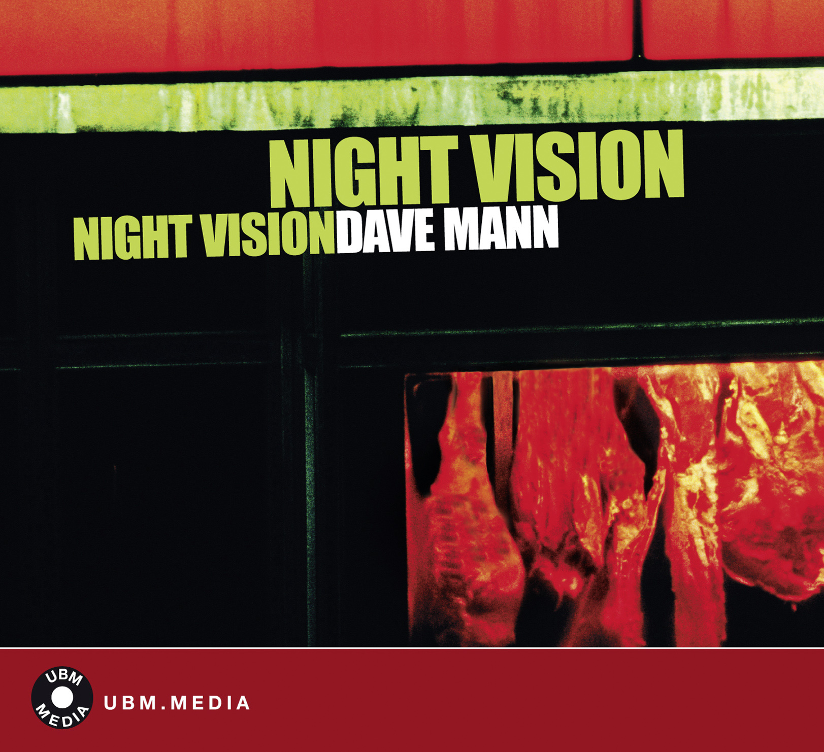 night vision 표지