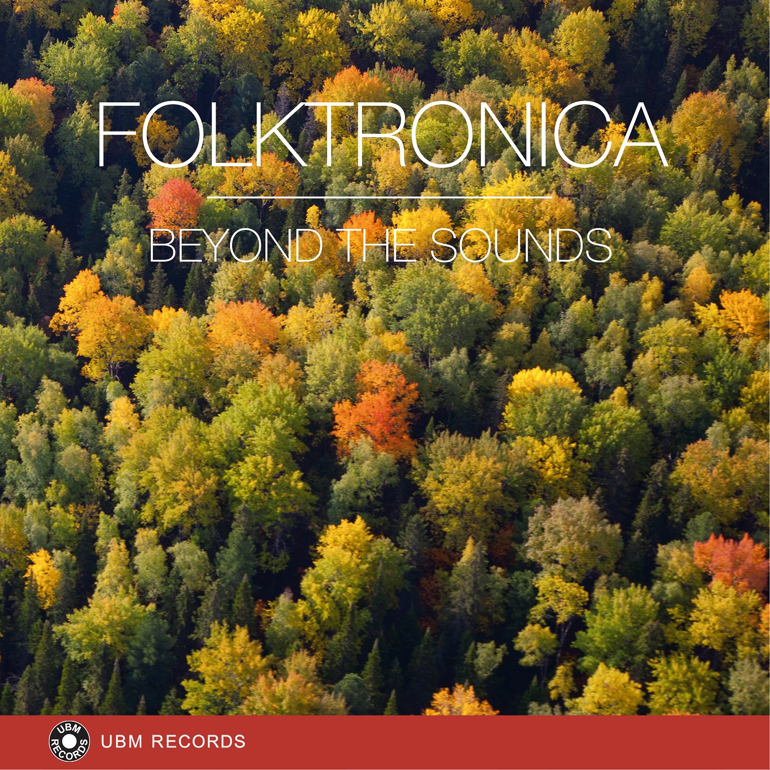 folktronica 표지