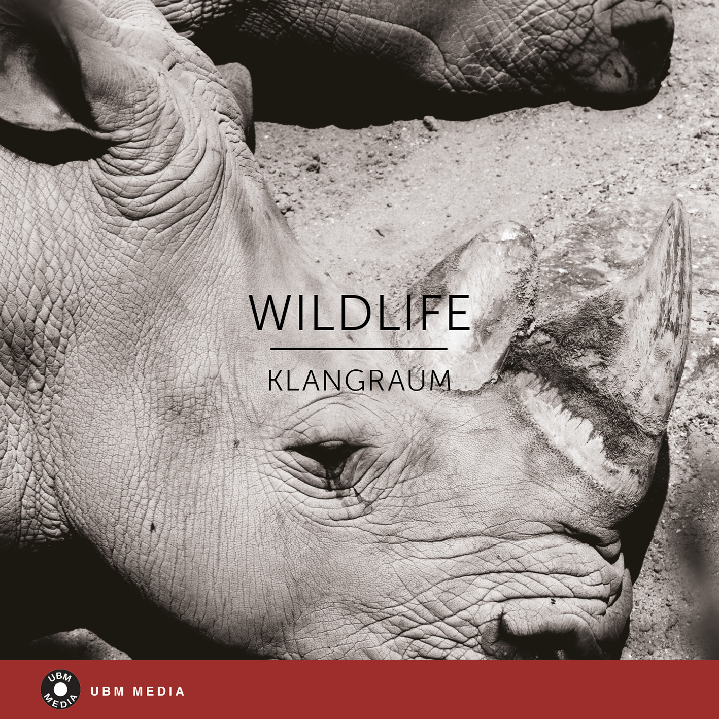wildlife 표지