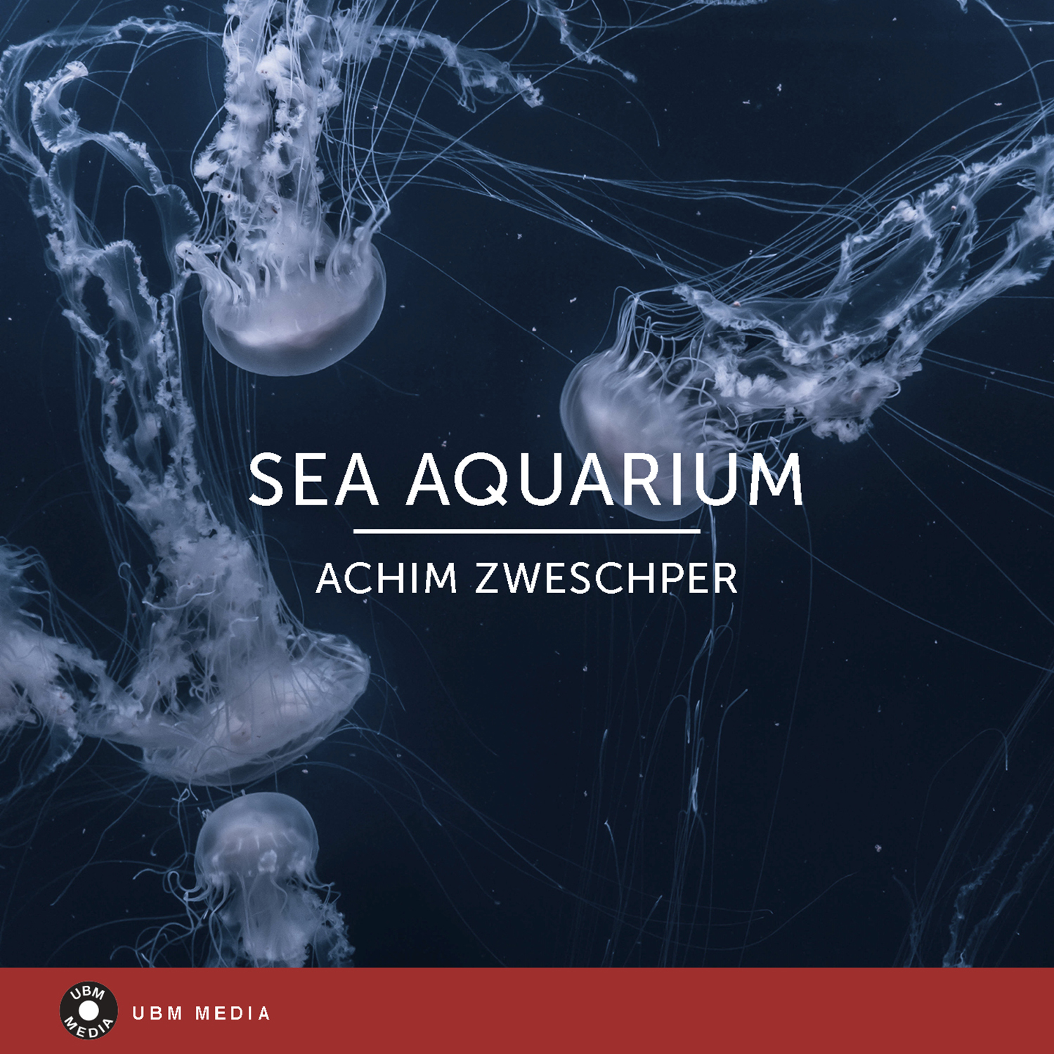 sea aquarium 표지