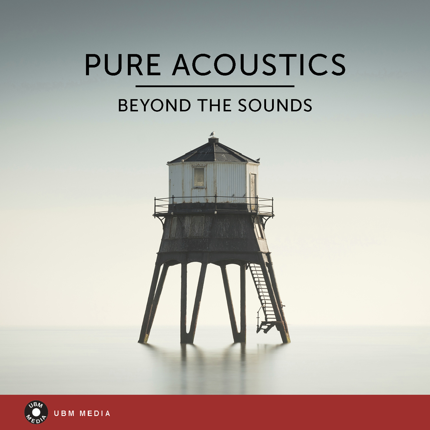 pure acoustics 표지