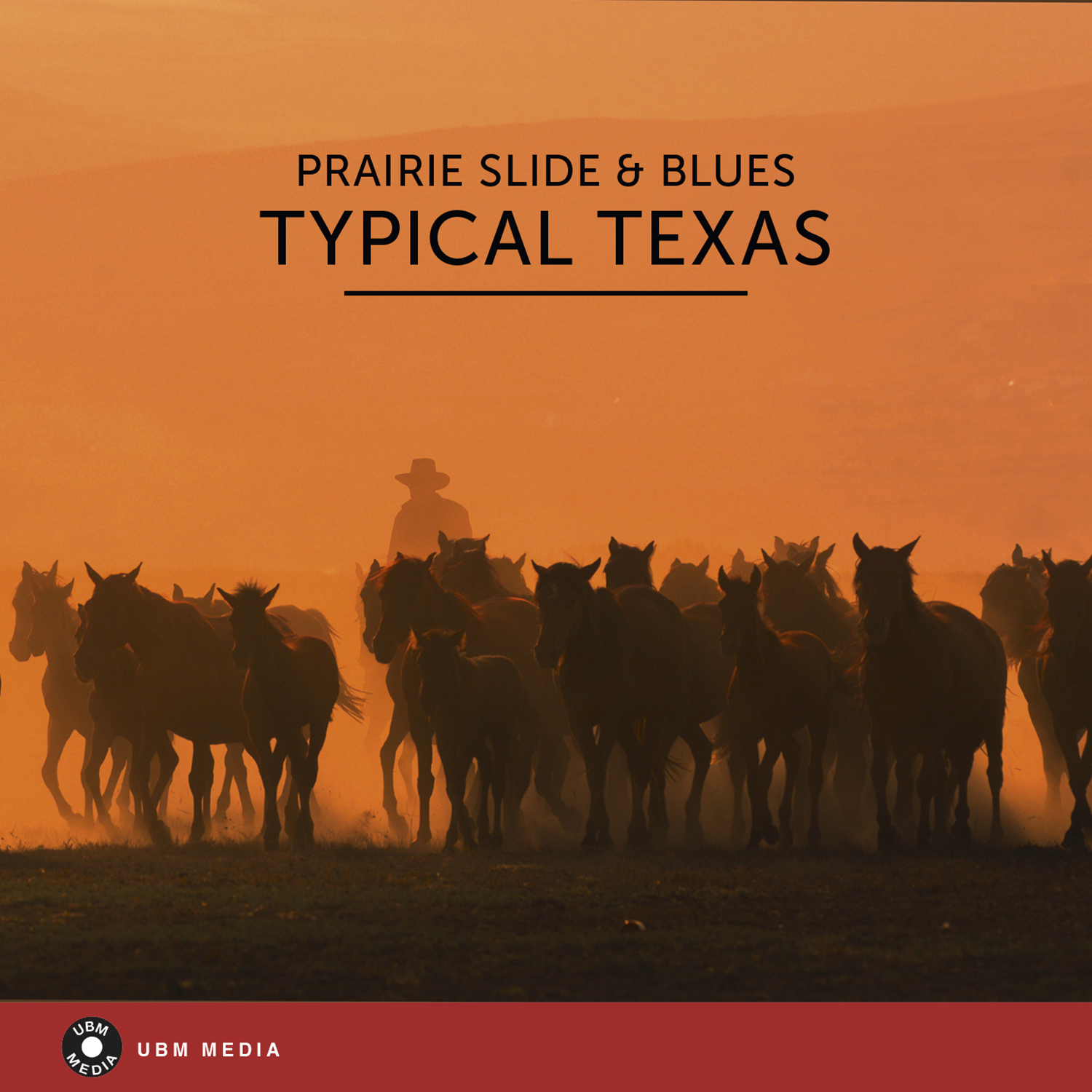 typical texas - prairie slide & blues 표지