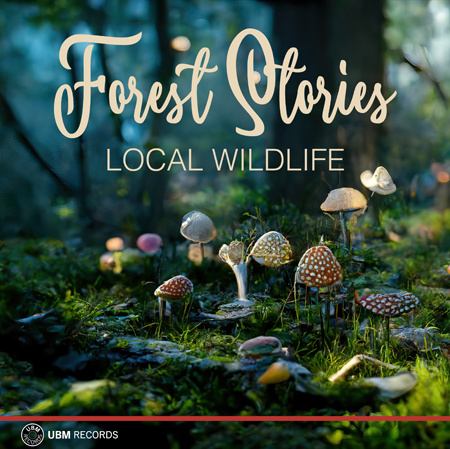 Forest Stories - Local Wildlife 표지