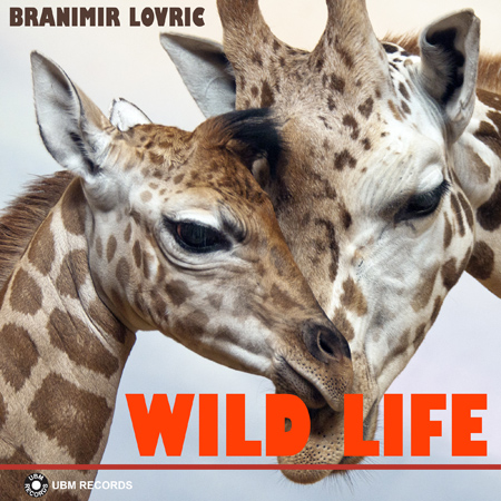 Wild Life 표지