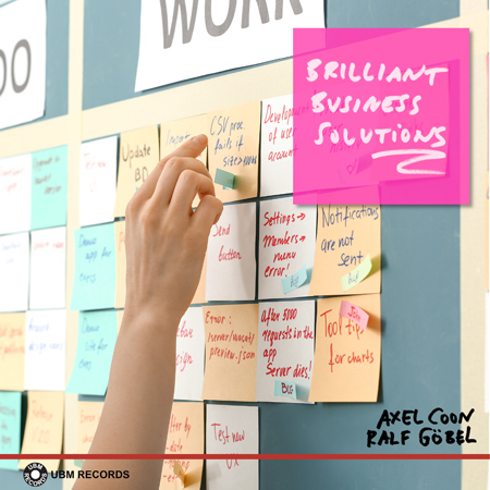 Brilliant Business Solutions 표지