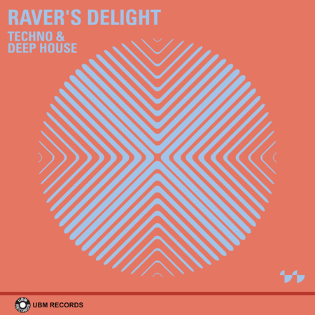 Raver's Delight - Techno And Deep House 표지