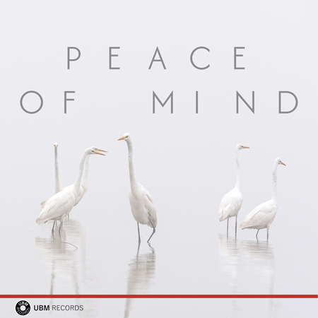 Peace Of Mind 표지