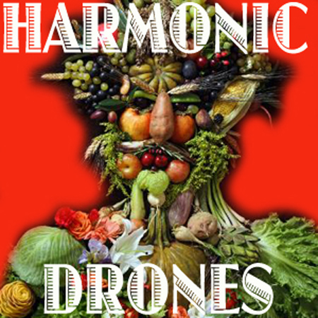 Harmonic Drones 표지