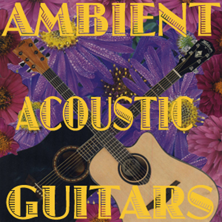 Ambient Acoustic Guitars 표지