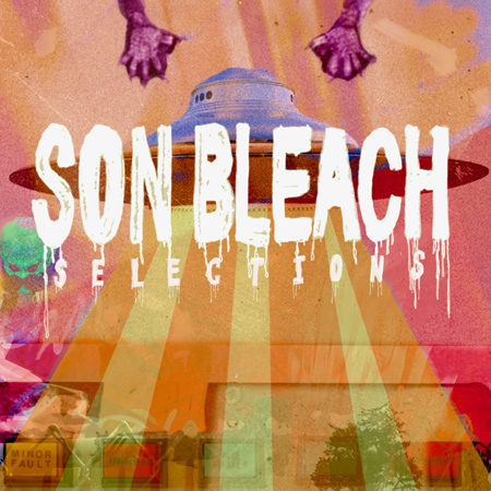 Son Bleach/ Selections 표지
